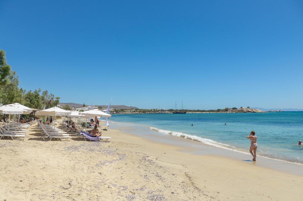 Naxos Golden Beach 2 Agia Anna  Dış mekan fotoğraf