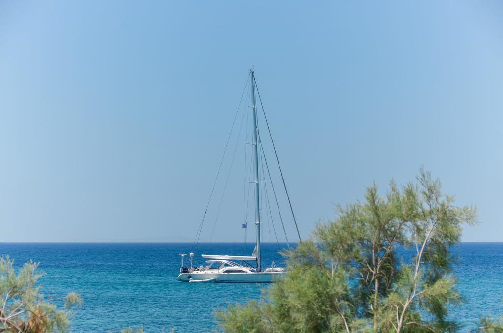 Naxos Golden Beach 2 Agia Anna  Dış mekan fotoğraf